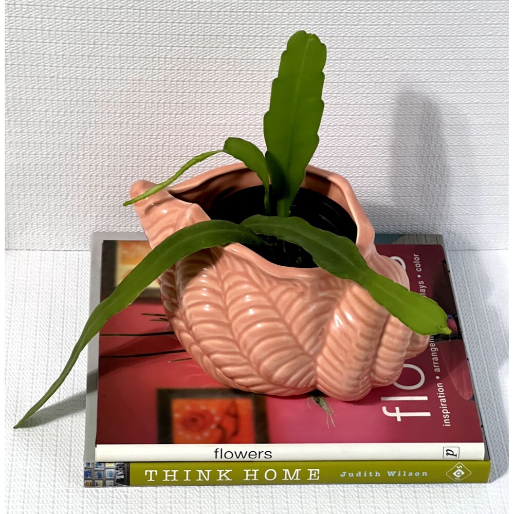 Vintage 80’s Ceramic Conch Shell Planter Pink  Flower Pot Cache Pot  Home Decor